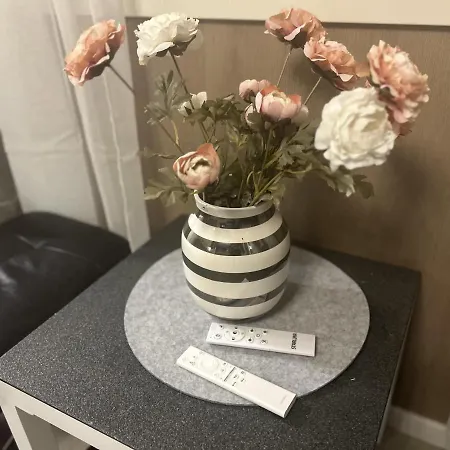New In - Aurora Hotspot Apartment